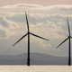 Illustration for article titled Wind Power Sucks But Brain Damage Is Okay